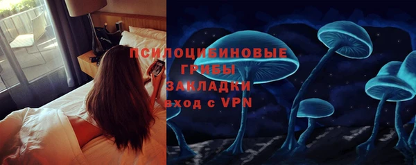 стаф Володарск