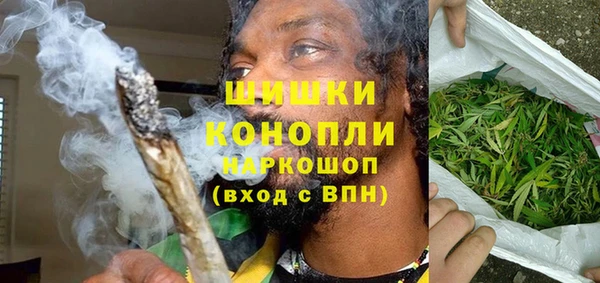 стаф Новодвинск