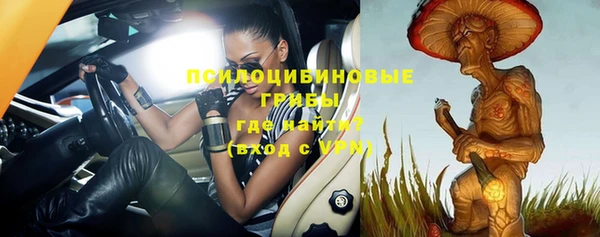 гашик Верхний Тагил