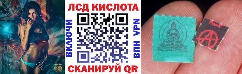 дарнет шоп  Лосино-Петровский  Марки NBOMe 1,5мг 