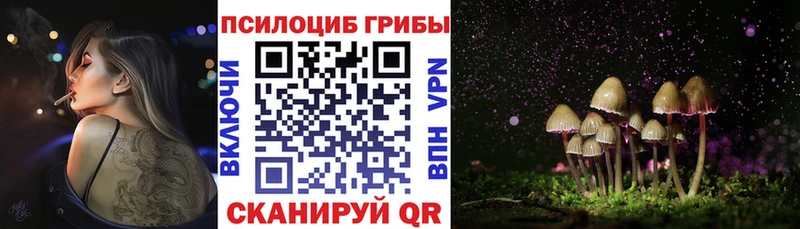 мега ТОР  Лосино-Петровский  Галлюциногенные грибы GOLDEN TEACHER  купить закладку 